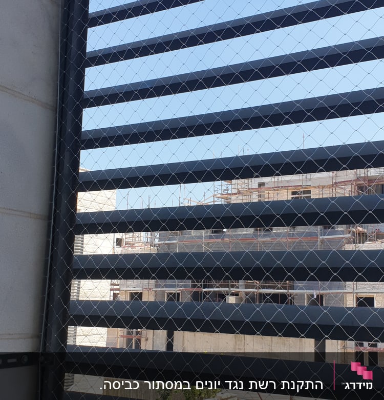 רשת מתכת מותקנת על חלון למניעת כניסת יונים